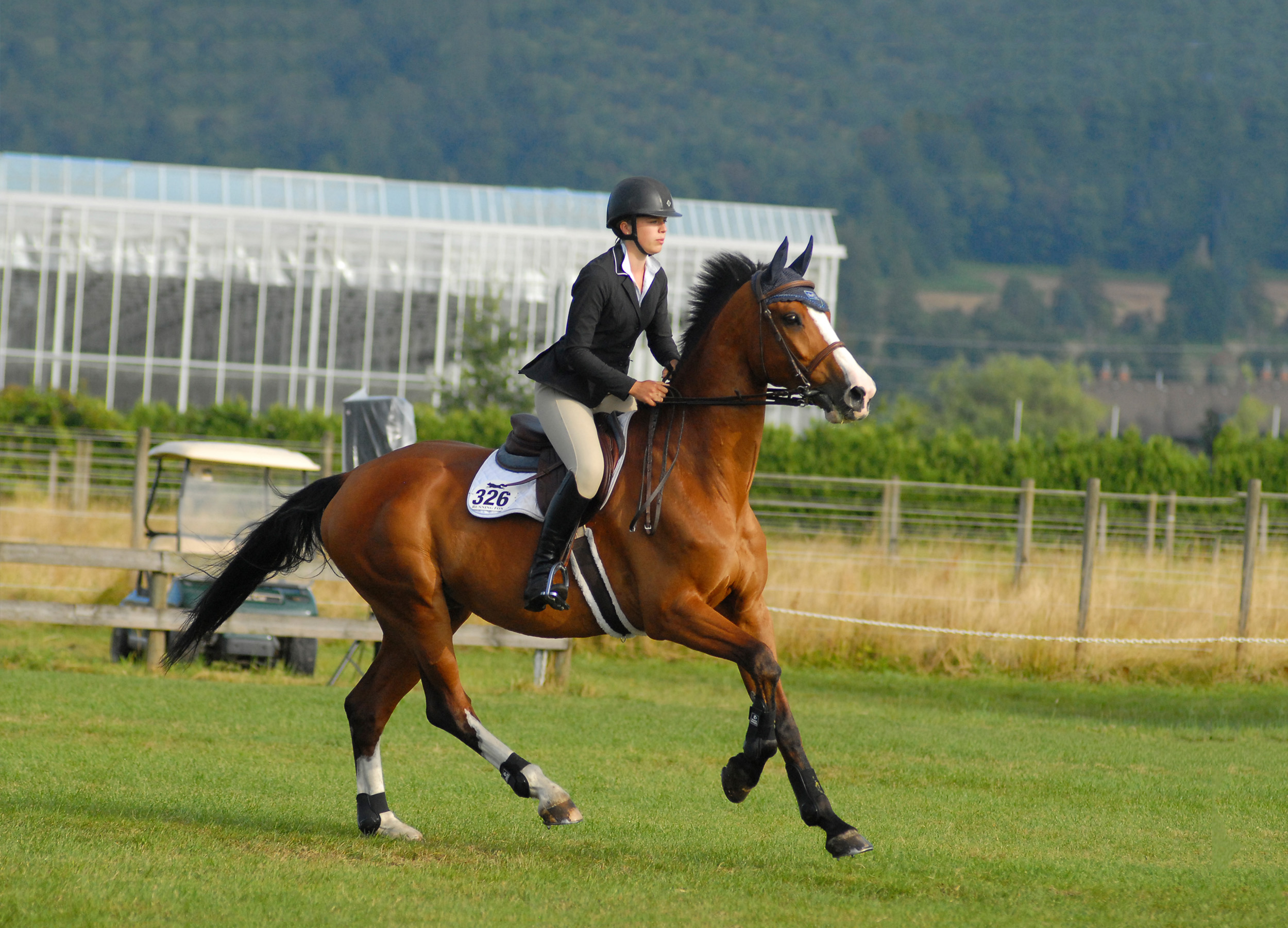 SPORT, Competition, Schooling