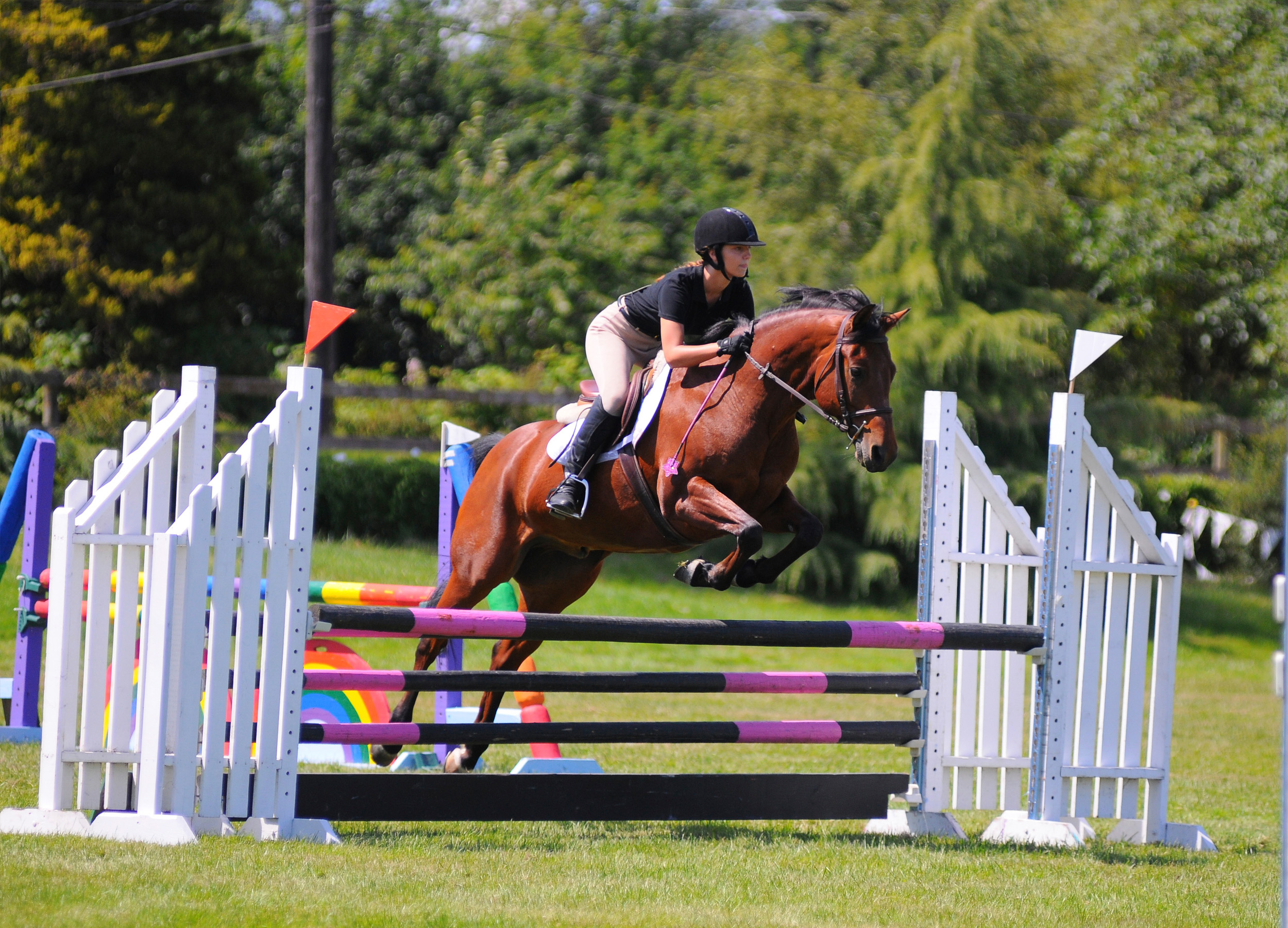 SPORT, Competition, Schooling